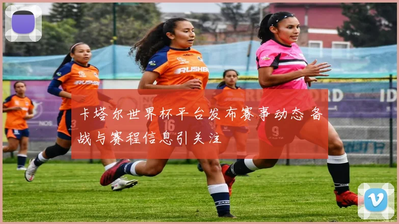 卡塔尔世界杯平台发布赛事动态 备战与赛程信息引关注